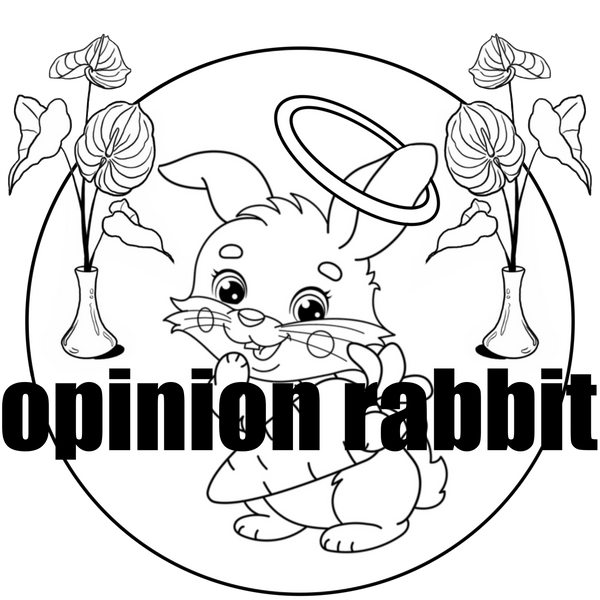 opinion rabbit